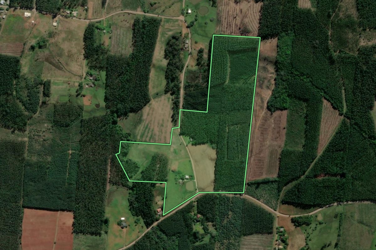 Imagem de satélite do imóvel rural em Paverama (RS), com o contorno declarado no CAR desenhado por cima.