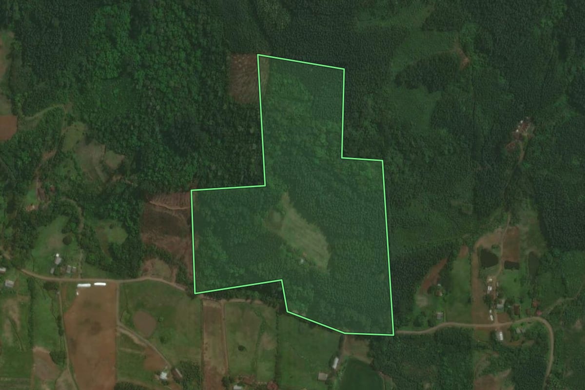 Imagem de satélite do imóvel rural em Paverama (RS), com o contorno declarado no CAR desenhado por cima.