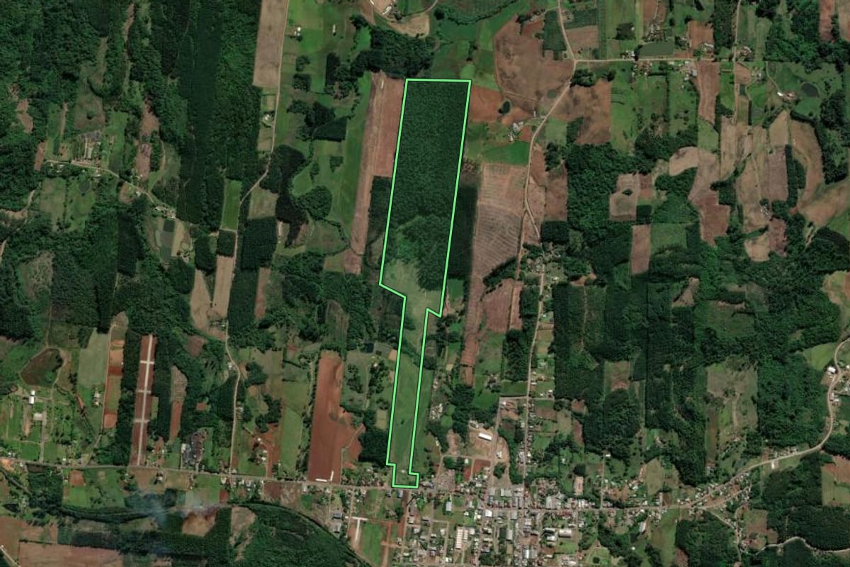 Imagem de satélite do imóvel rural em Paverama (RS), com o contorno declarado no CAR desenhado por cima.
