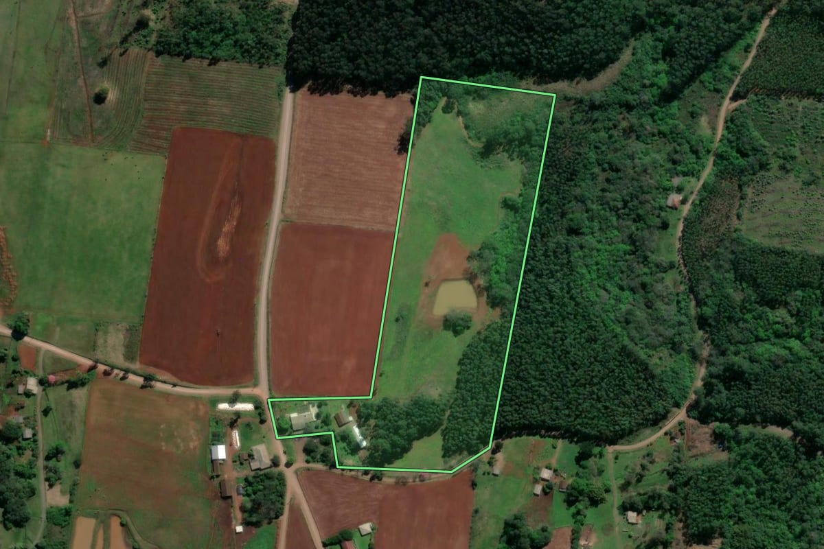 Imagem de satélite do imóvel rural em Paverama (RS), com o contorno declarado no CAR desenhado por cima.