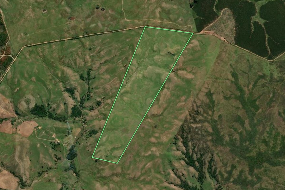 Imagem de satélite do imóvel rural em Pedras Altas (RS), com o contorno declarado no CAR desenhado por cima.