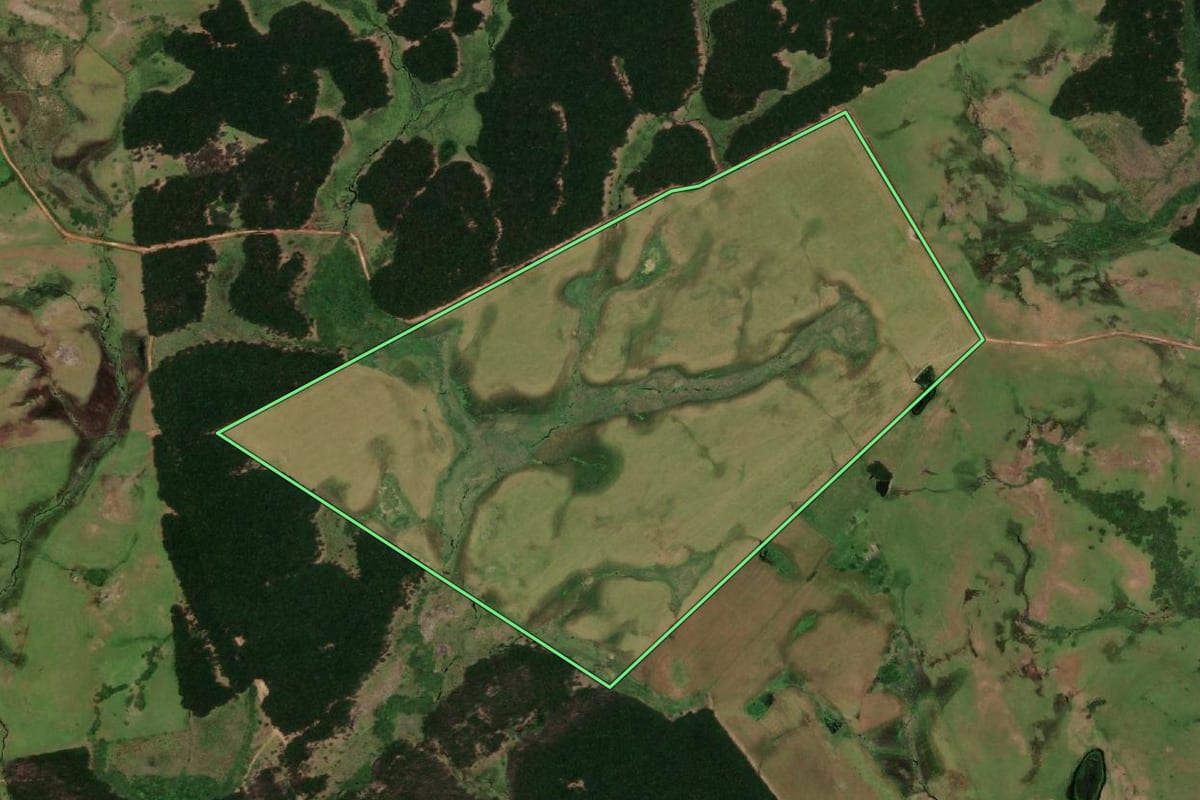 Imagem de satélite do imóvel rural em Pedras Altas (RS), com o contorno declarado no CAR desenhado por cima.