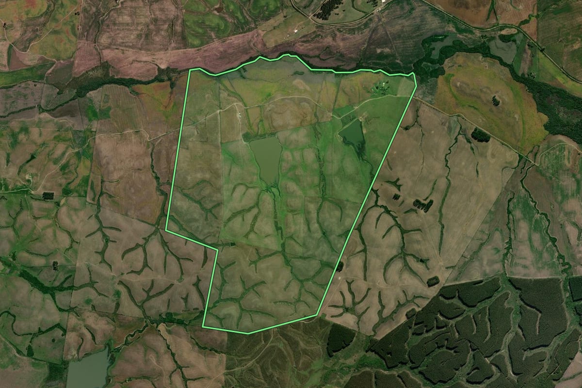 Imagem de satélite do imóvel rural em Pedras Altas (RS), com o contorno declarado no CAR desenhado por cima.