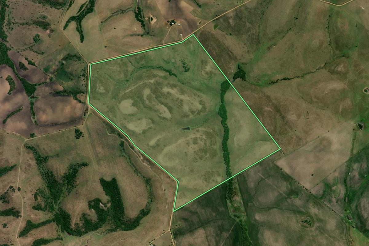 Imagem de satélite do imóvel rural em Pedras Altas (RS), com o contorno declarado no CAR desenhado por cima.