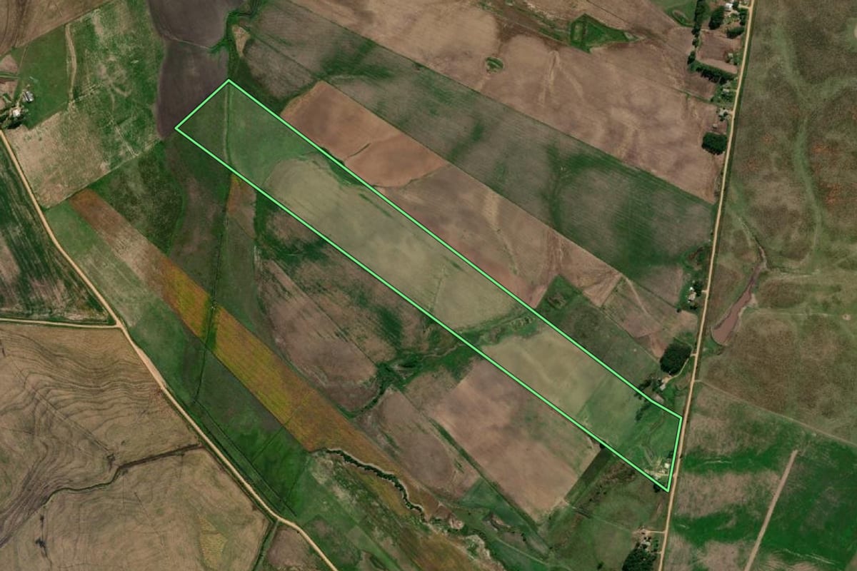 Imagem de satélite do imóvel rural em Pedras Altas (RS), com o contorno declarado no CAR desenhado por cima.