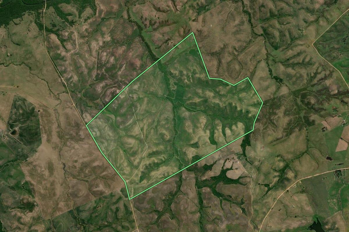 Imagem de satélite do imóvel rural em Pedras Altas (RS), com o contorno declarado no CAR desenhado por cima.