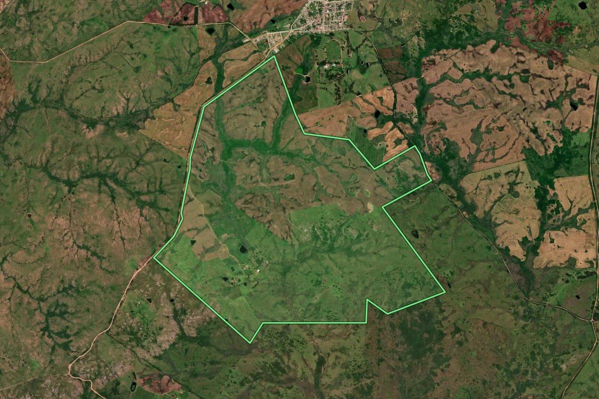Imagem de satélite do imóvel rural em Pedras Altas (RS), com o contorno declarado no CAR desenhado por cima.