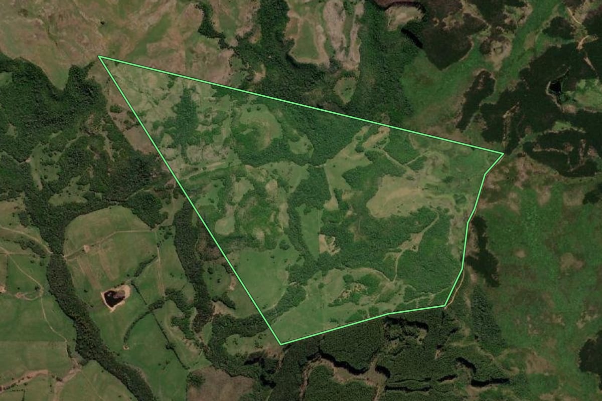Imagem de satélite do imóvel rural em Pedras Altas (RS), com o contorno declarado no CAR desenhado por cima.