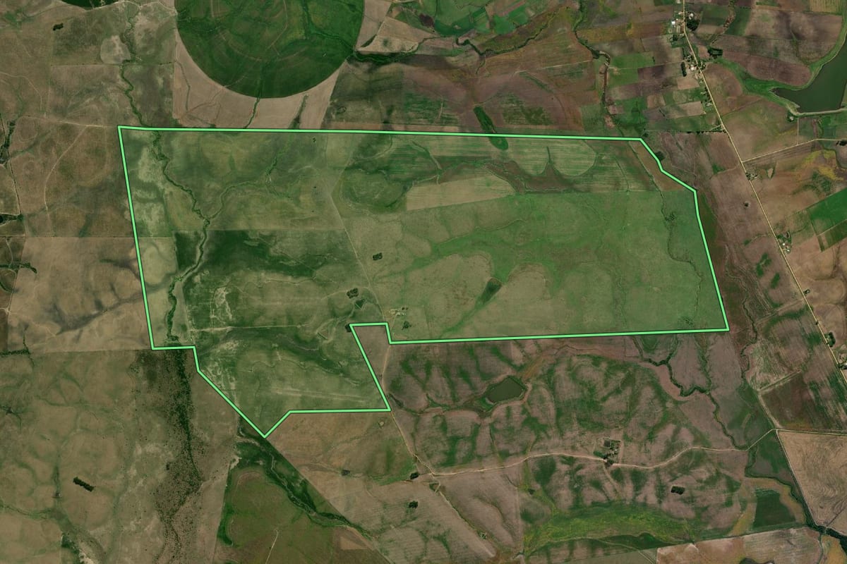 Imagem de satélite do imóvel rural em Pedras Altas (RS), com o contorno declarado no CAR desenhado por cima.