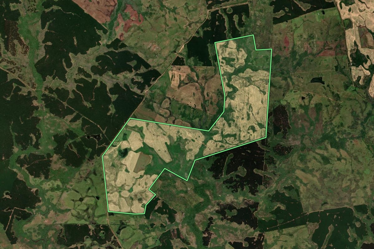 Imagem de satélite do imóvel rural em Pedras Altas (RS), com o contorno declarado no CAR desenhado por cima.