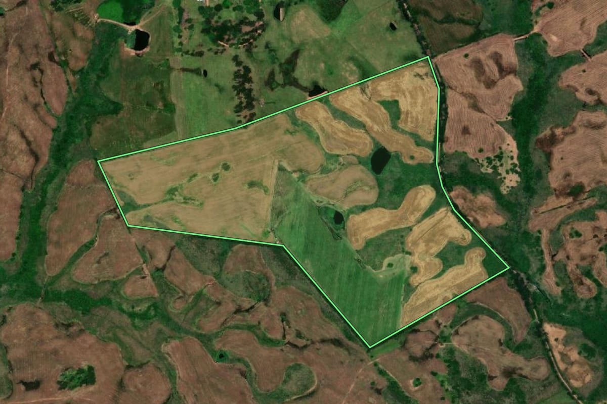 Imagem de satélite do imóvel rural em Pedras Altas (RS), com o contorno declarado no CAR desenhado por cima.