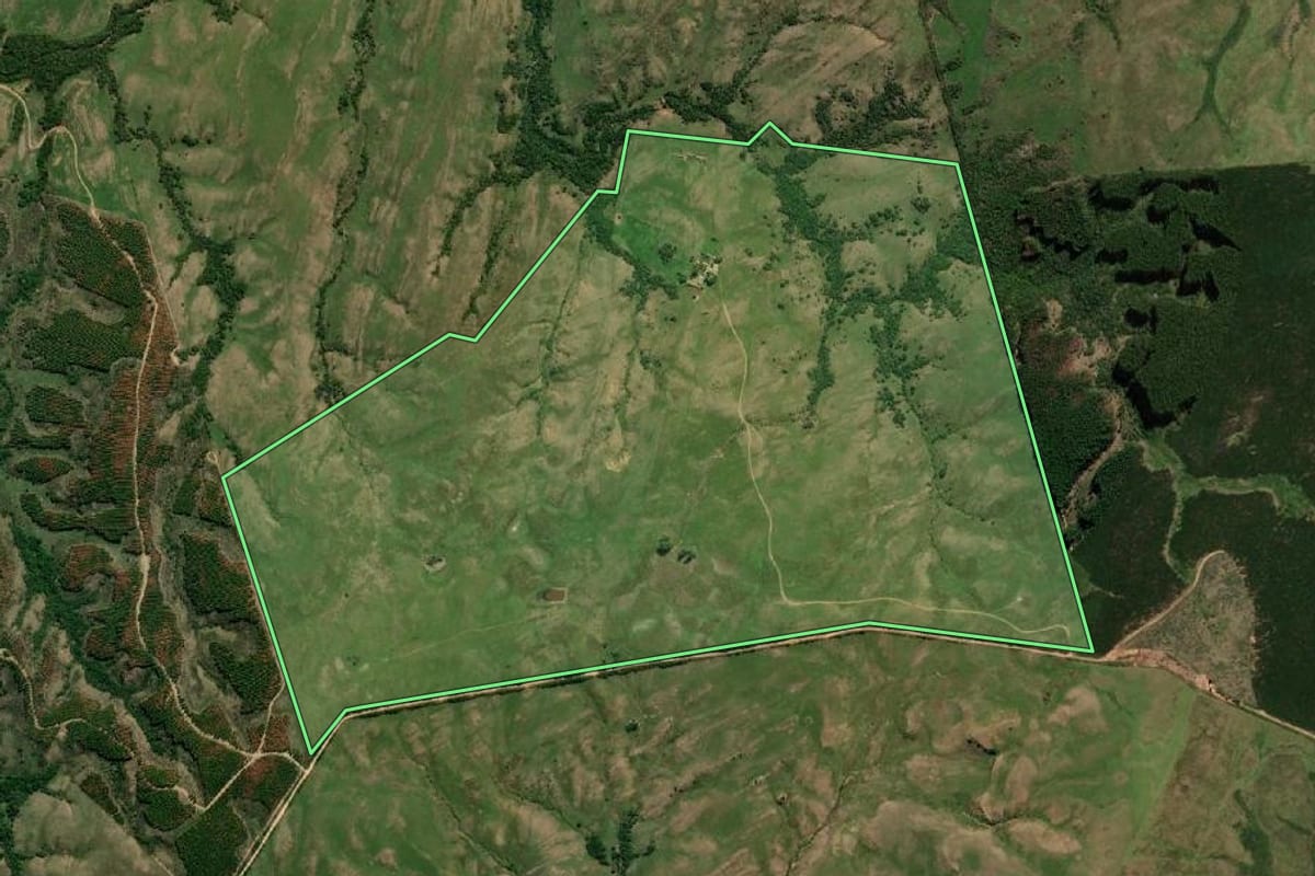 Imagem de satélite do imóvel rural em Pedras Altas (RS), com o contorno declarado no CAR desenhado por cima.