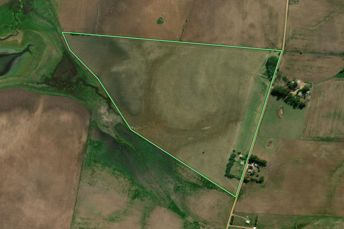 Imagem de satélite do imóvel rural em Pedras Altas (RS), com o contorno declarado no CAR desenhado por cima.