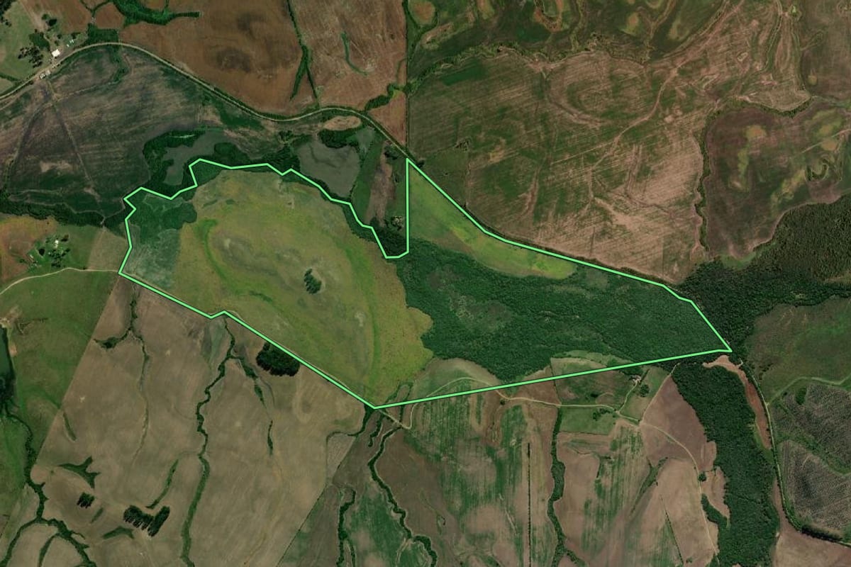 Imagem de satélite do imóvel rural em Pedras Altas (RS), com o contorno declarado no CAR desenhado por cima.