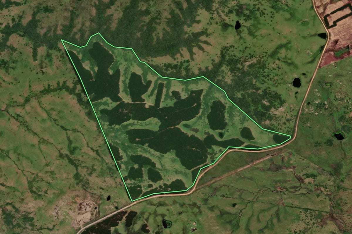 Imagem de satélite do imóvel rural em Pedras Altas (RS), com o contorno declarado no CAR desenhado por cima.
