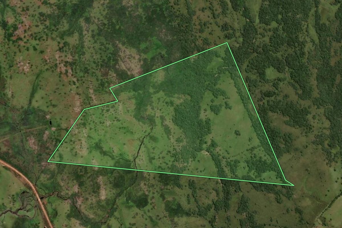 Imagem de satélite do imóvel rural em Pedras Altas (RS), com o contorno declarado no CAR desenhado por cima.