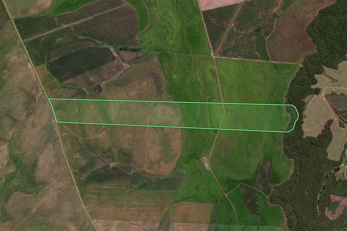 Imagem de satélite do imóvel rural em Pedras Altas (RS), com o contorno declarado no CAR desenhado por cima.