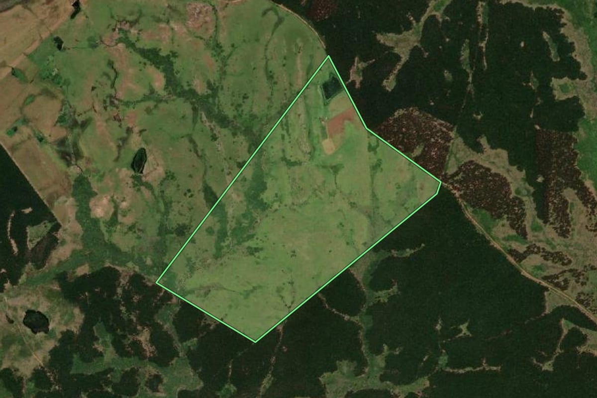 Imagem de satélite do imóvel rural em Pedras Altas (RS), com o contorno declarado no CAR desenhado por cima.