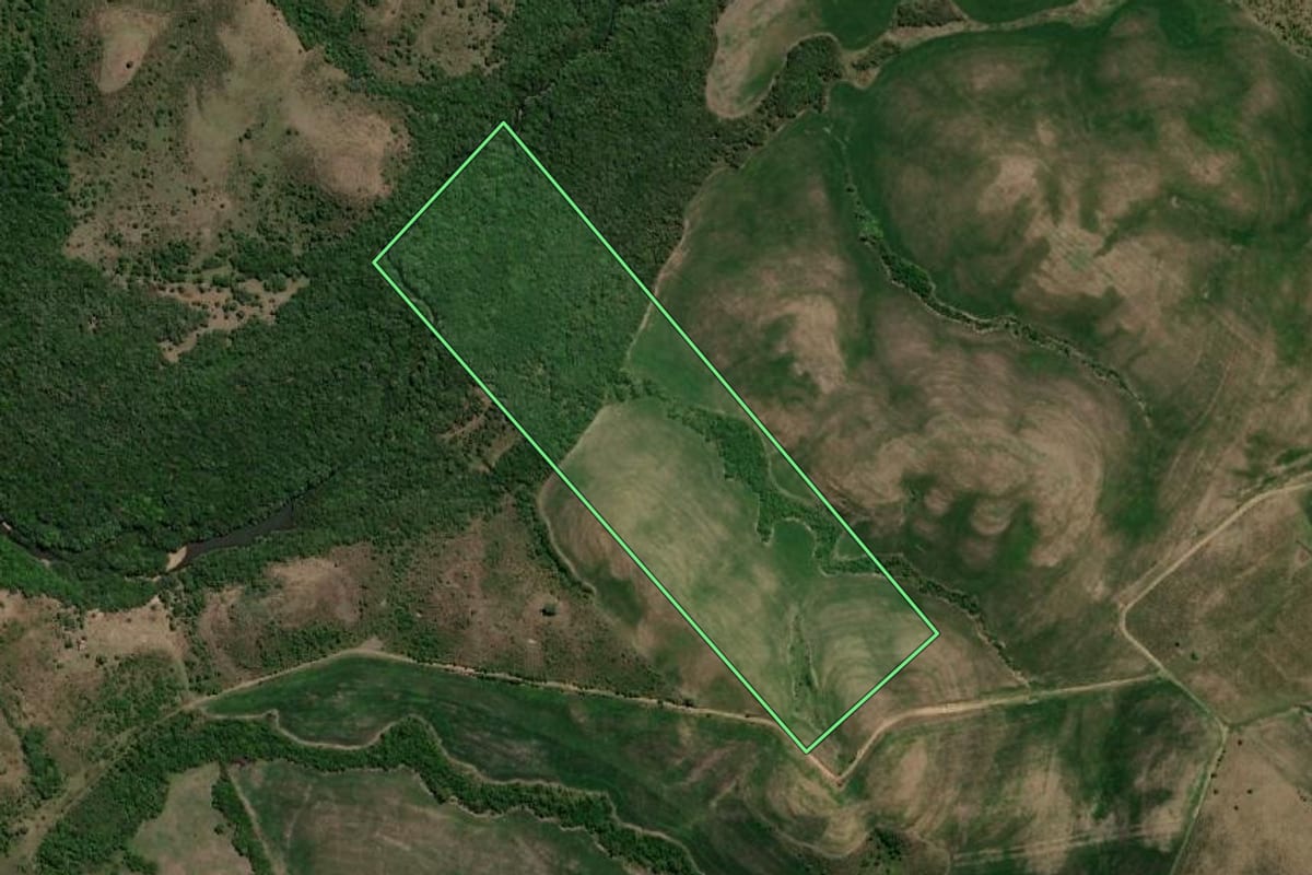Imagem de satélite do imóvel rural em Pedras Altas (RS), com o contorno declarado no CAR desenhado por cima.