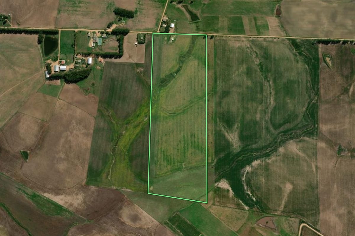 Imagem de satélite do imóvel rural em Pedras Altas (RS), com o contorno declarado no CAR desenhado por cima.
