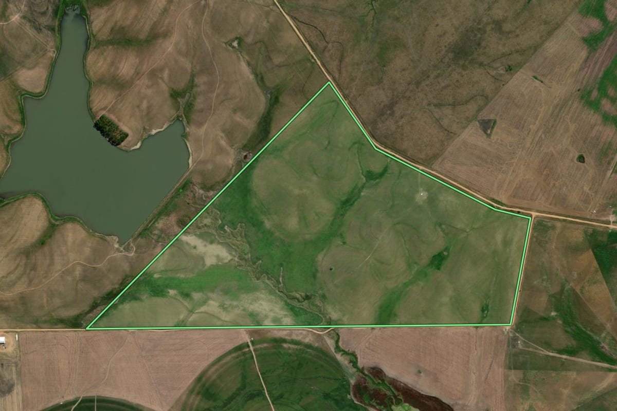 Imagem de satélite do imóvel rural em Pedras Altas (RS), com o contorno declarado no CAR desenhado por cima.