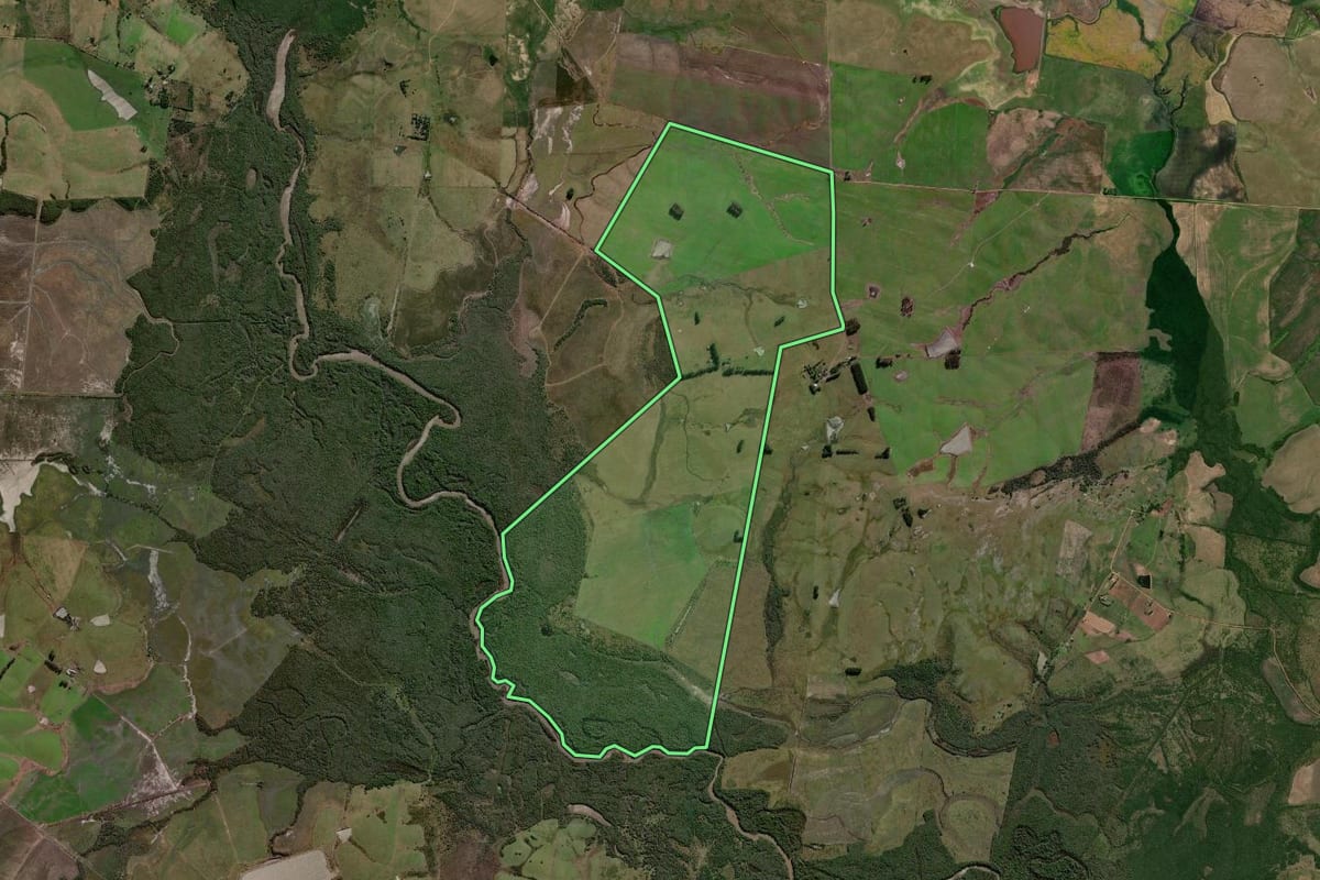 Imagem de satélite do imóvel rural em Pedras Altas (RS), com o contorno declarado no CAR desenhado por cima.