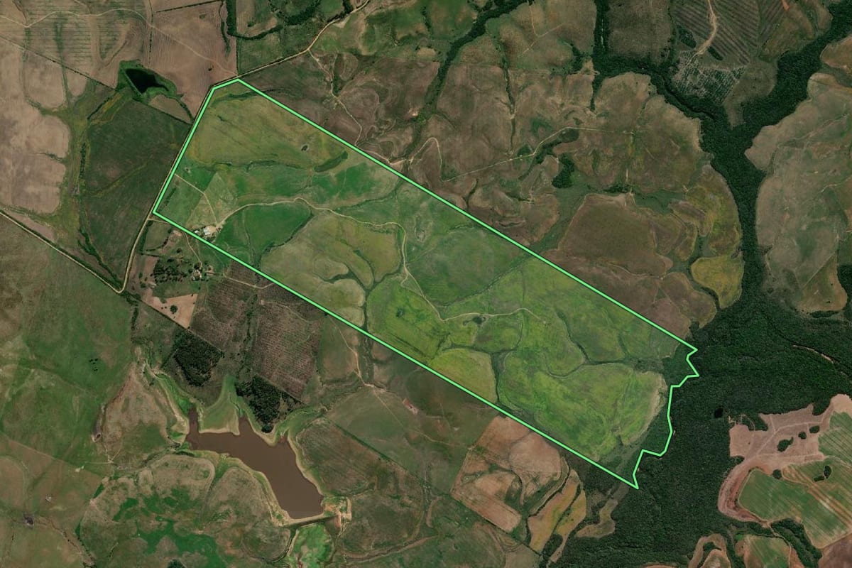 Imagem de satélite do imóvel rural em Pedras Altas (RS), com o contorno declarado no CAR desenhado por cima.