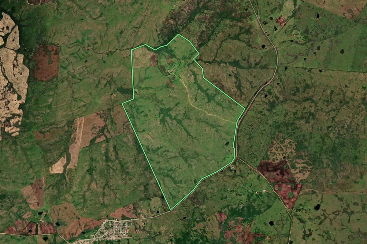 Imagem de satélite do imóvel rural em Pedras Altas (RS), com o contorno declarado no CAR desenhado por cima.