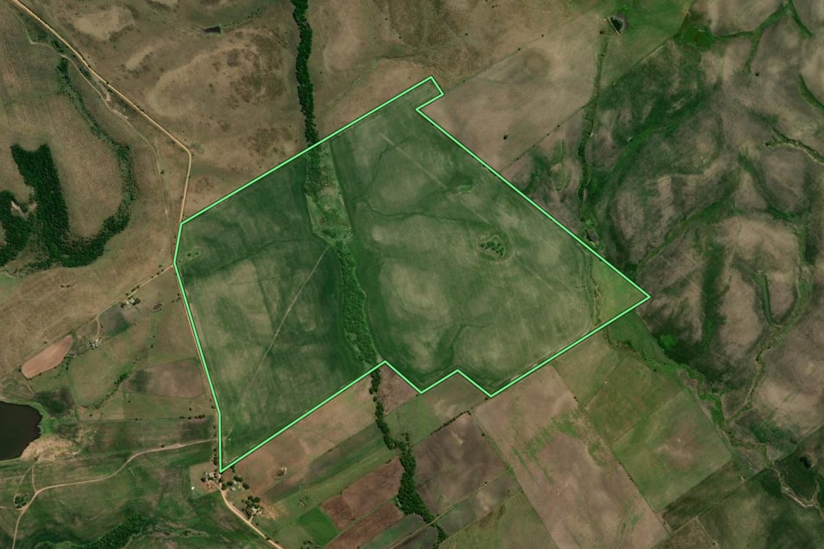 Imagem de satélite do imóvel rural em Pedras Altas (RS), com o contorno declarado no CAR desenhado por cima.