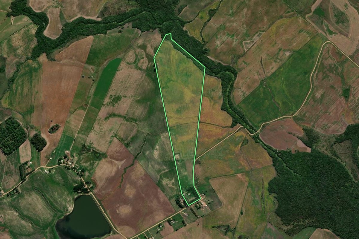 Imagem de satélite do imóvel rural em Pedras Altas (RS), com o contorno declarado no CAR desenhado por cima.