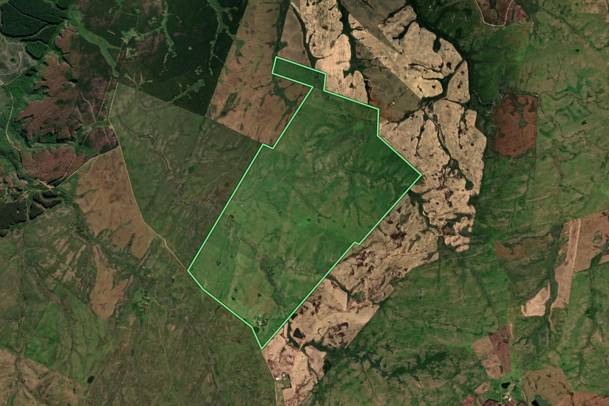 Imagem de satélite do imóvel rural em Pedras Altas (RS), com o contorno declarado no CAR desenhado por cima.