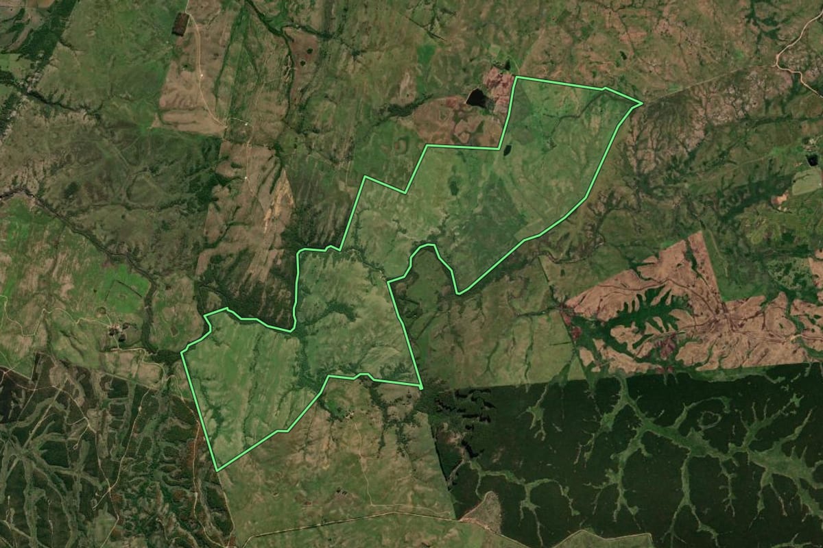 Imagem de satélite do imóvel rural em Pedras Altas (RS), com o contorno declarado no CAR desenhado por cima.