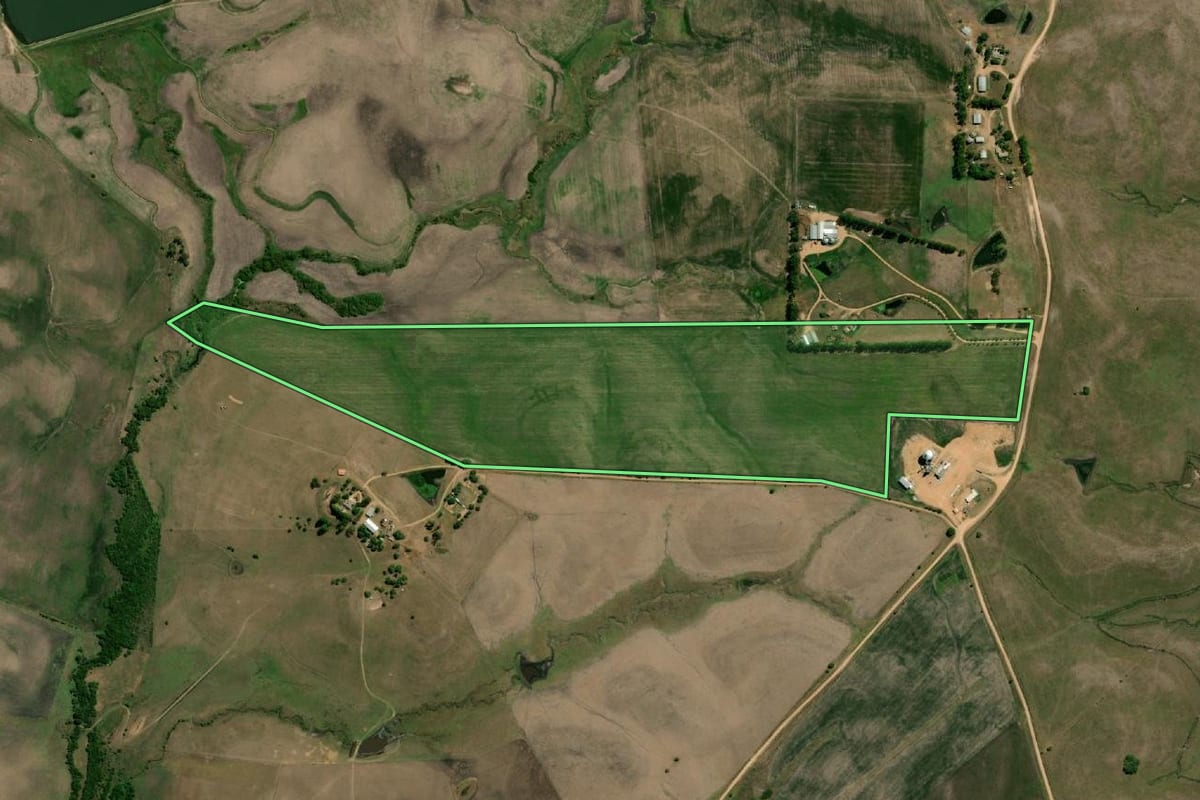 Imagem de satélite do imóvel rural em Pedras Altas (RS), com o contorno declarado no CAR desenhado por cima.