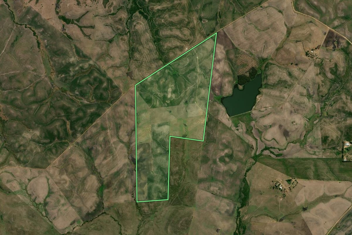 Imagem de satélite do imóvel rural em Pedras Altas (RS), com o contorno declarado no CAR desenhado por cima.