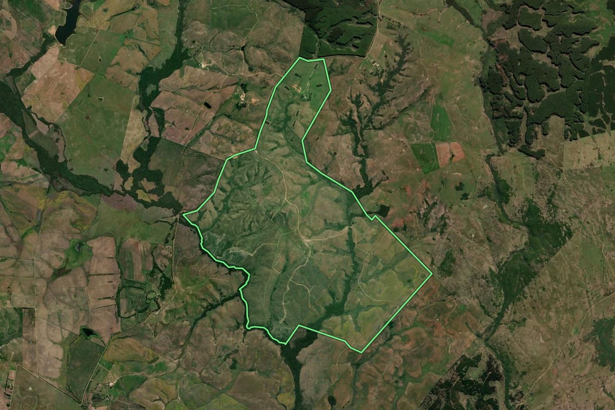 Imagem de satélite do imóvel rural em Pedras Altas (RS), com o contorno declarado no CAR desenhado por cima.