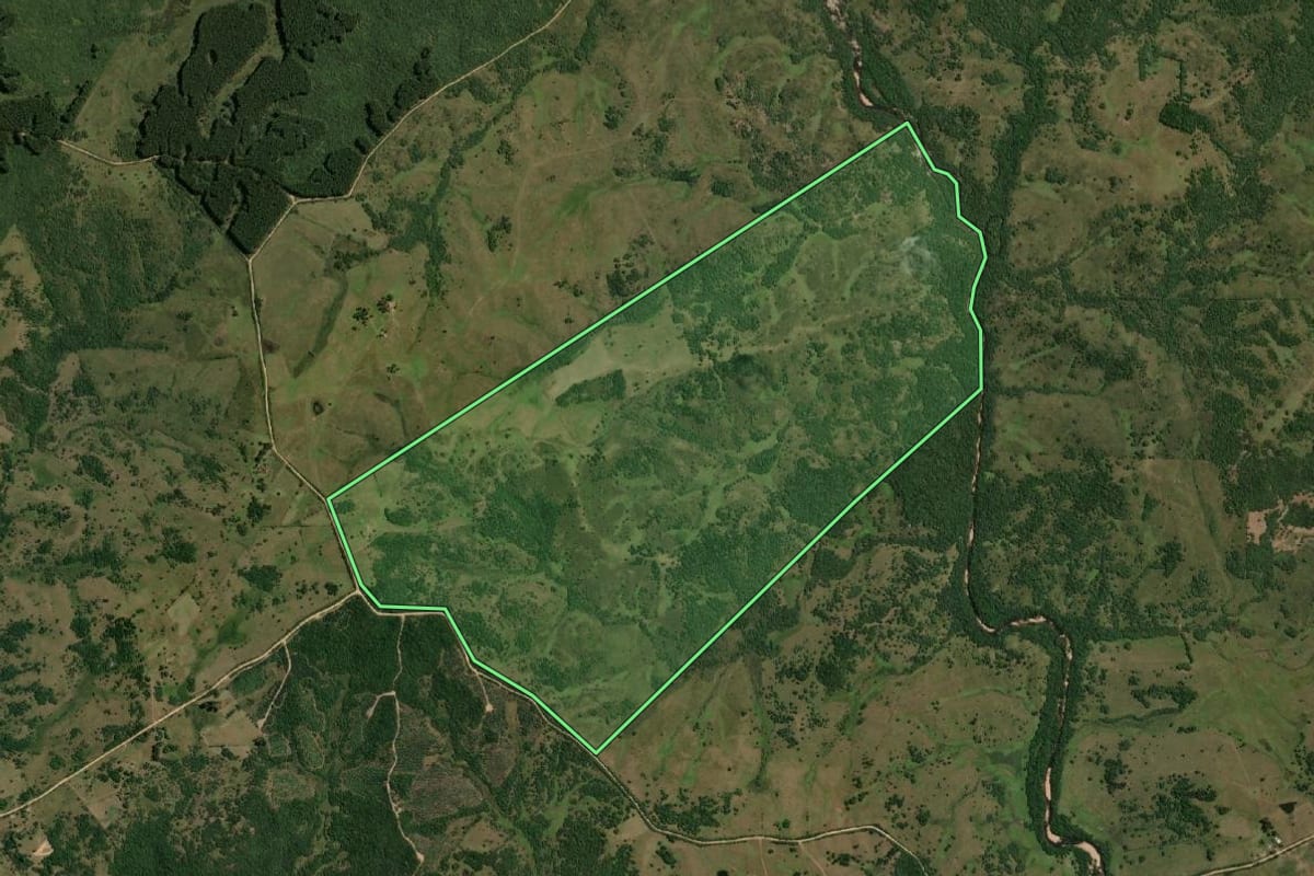 Imagem de satélite do imóvel rural em Pedras Altas (RS), com o contorno declarado no CAR desenhado por cima.