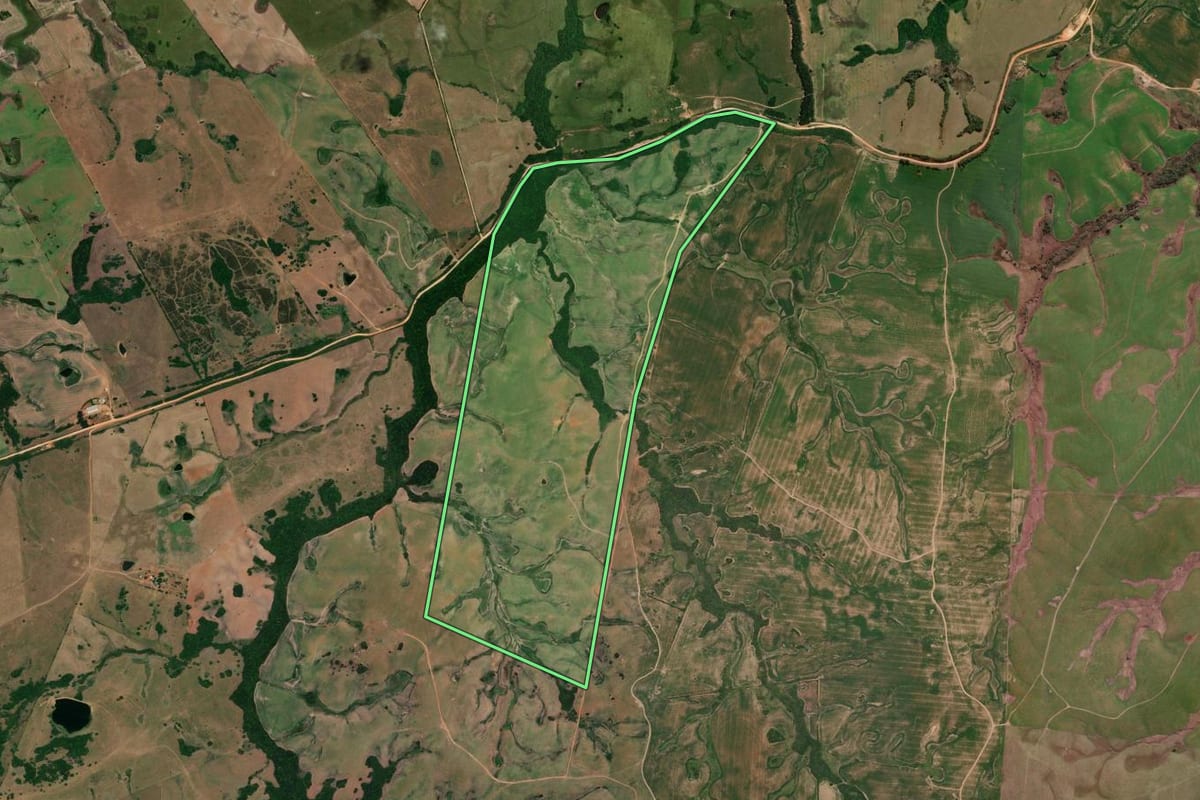 Imagem de satélite do imóvel rural em Pedro Osório (RS), com o contorno declarado no CAR desenhado por cima.