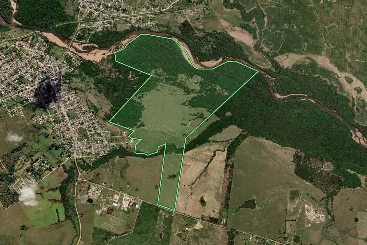 Imagem de satélite do imóvel rural em Pedro Osório (RS), com o contorno declarado no CAR desenhado por cima.