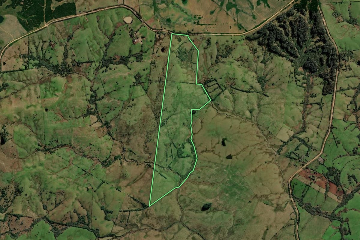 Imagem de satélite do imóvel rural em Pedro Osório (RS), com o contorno declarado no CAR desenhado por cima.