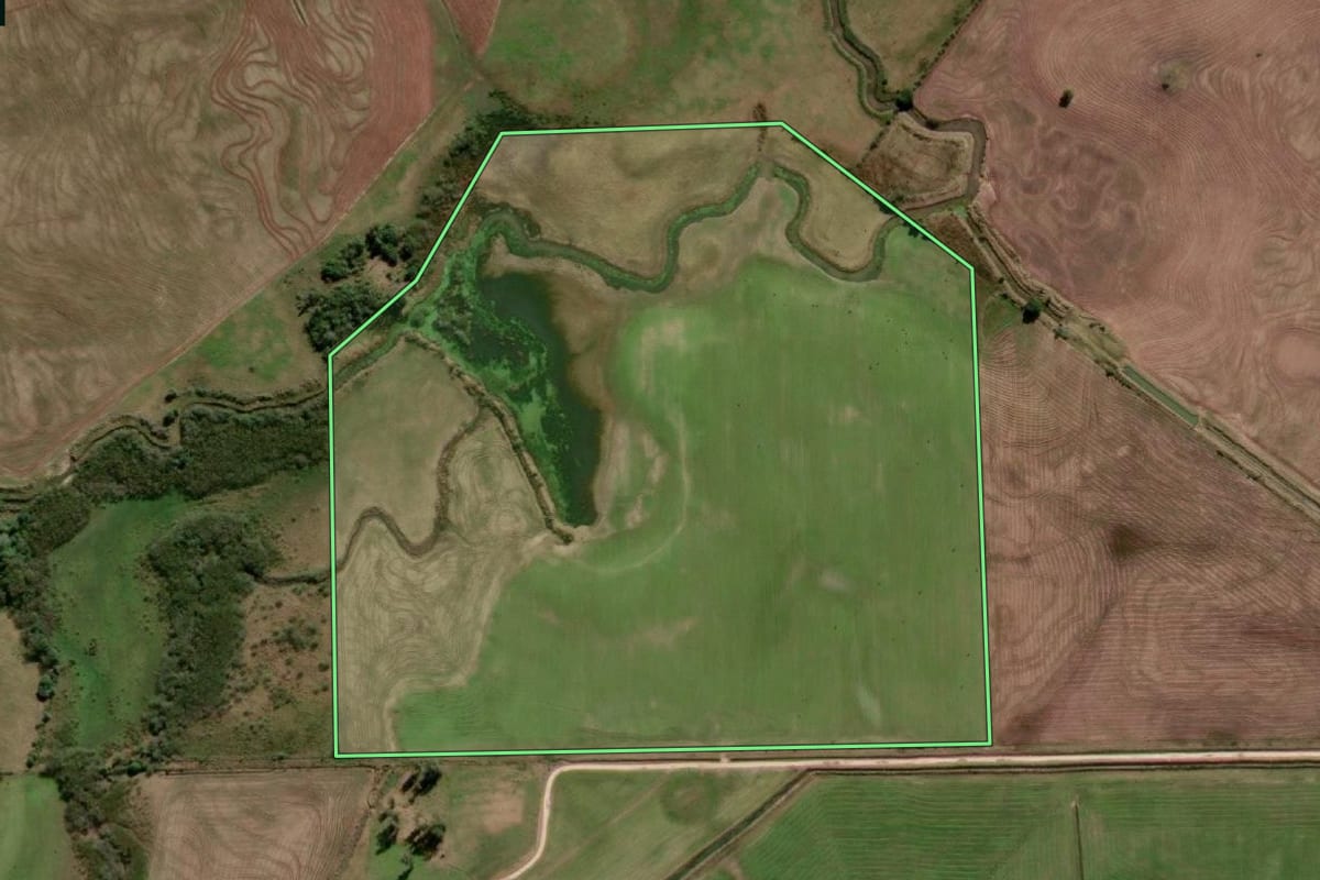 Imagem de satélite do imóvel rural em Pedro Osório (RS), com o contorno declarado no CAR desenhado por cima.
