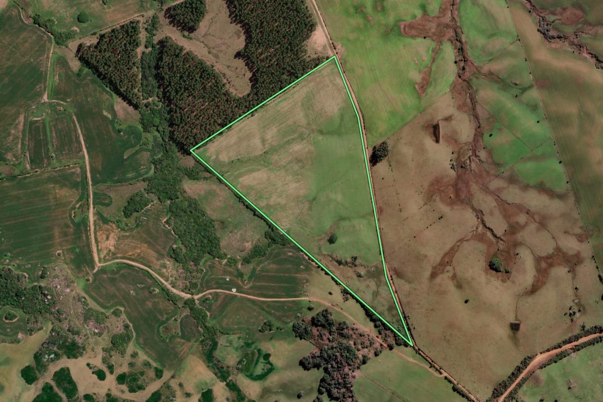 Imagem de satélite do imóvel rural em Pedro Osório (RS), com o contorno declarado no CAR desenhado por cima.