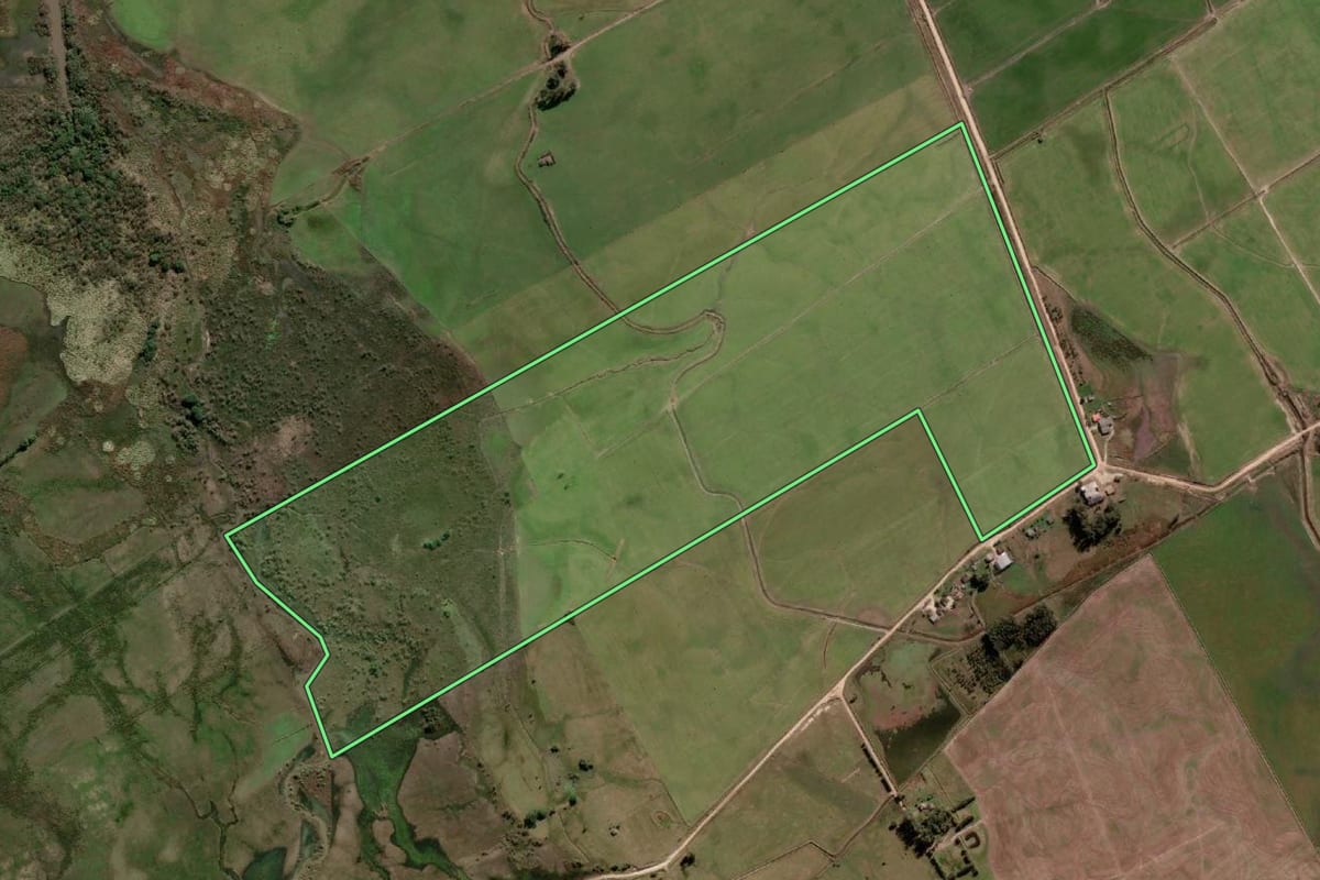 Imagem de satélite do imóvel rural em Pedro Osório (RS), com o contorno declarado no CAR desenhado por cima.