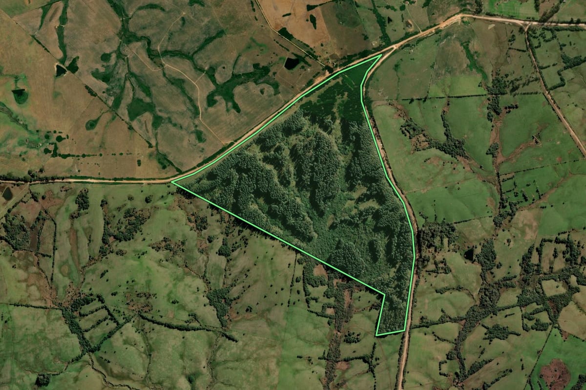 Imagem de satélite do imóvel rural em Pedro Osório (RS), com o contorno declarado no CAR desenhado por cima.