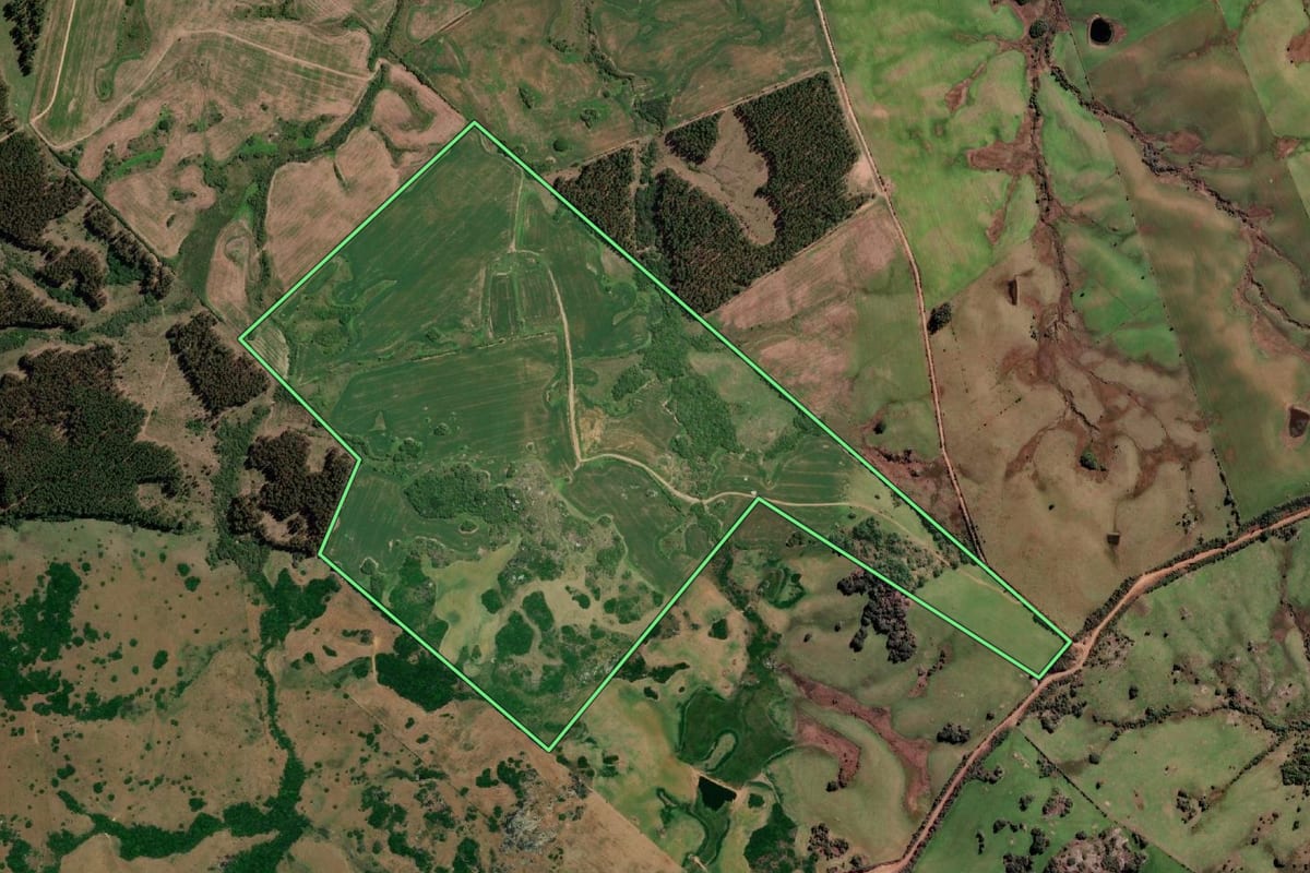 Imagem de satélite do imóvel rural em Pedro Osório (RS), com o contorno declarado no CAR desenhado por cima.