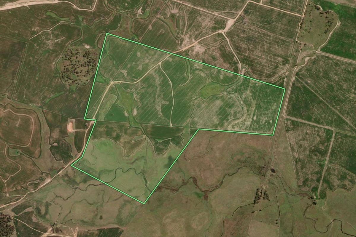 Imagem de satélite do imóvel rural em Pedro Osório (RS), com o contorno declarado no CAR desenhado por cima.