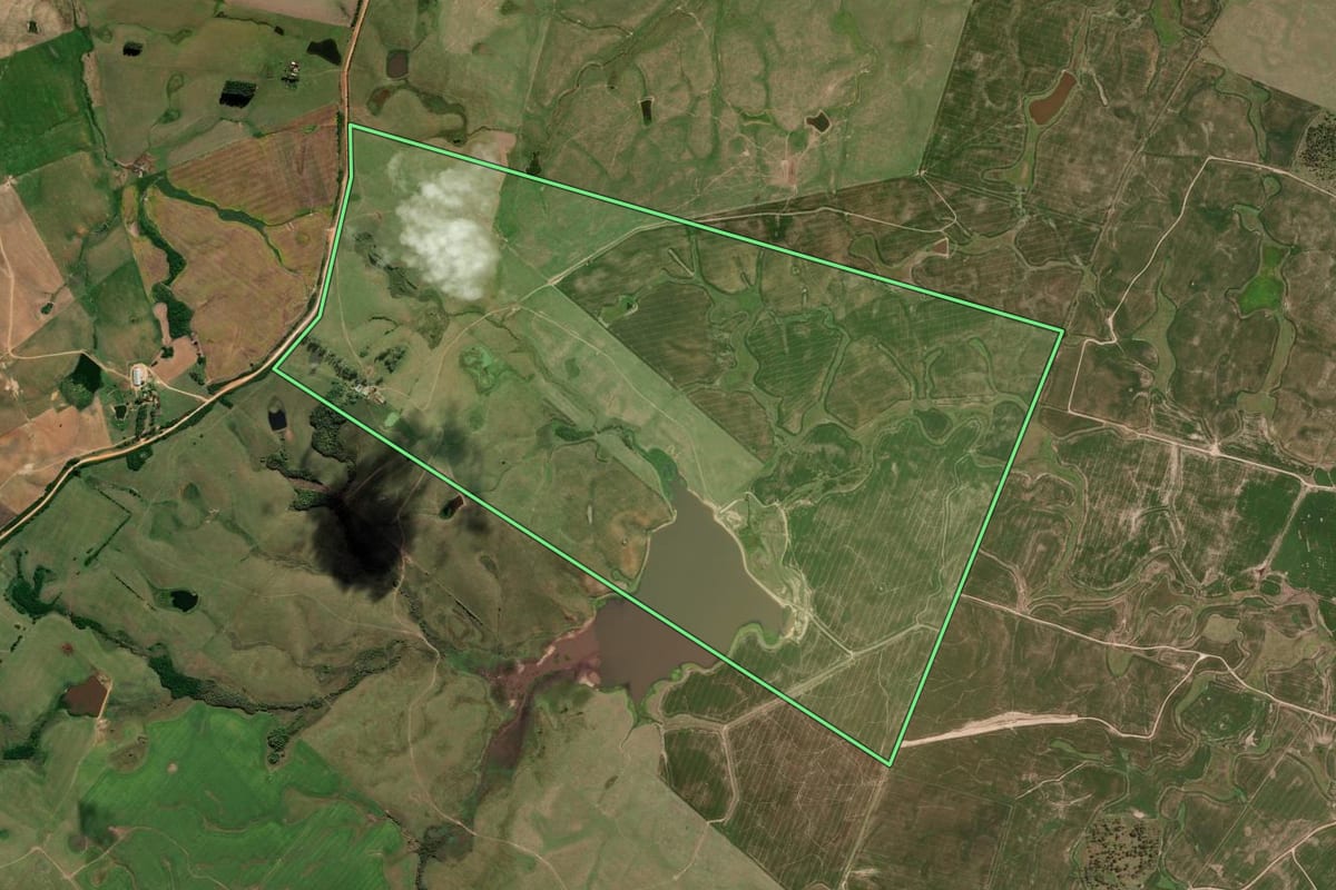 Imagem de satélite do imóvel rural em Pedro Osório (RS), com o contorno declarado no CAR desenhado por cima.