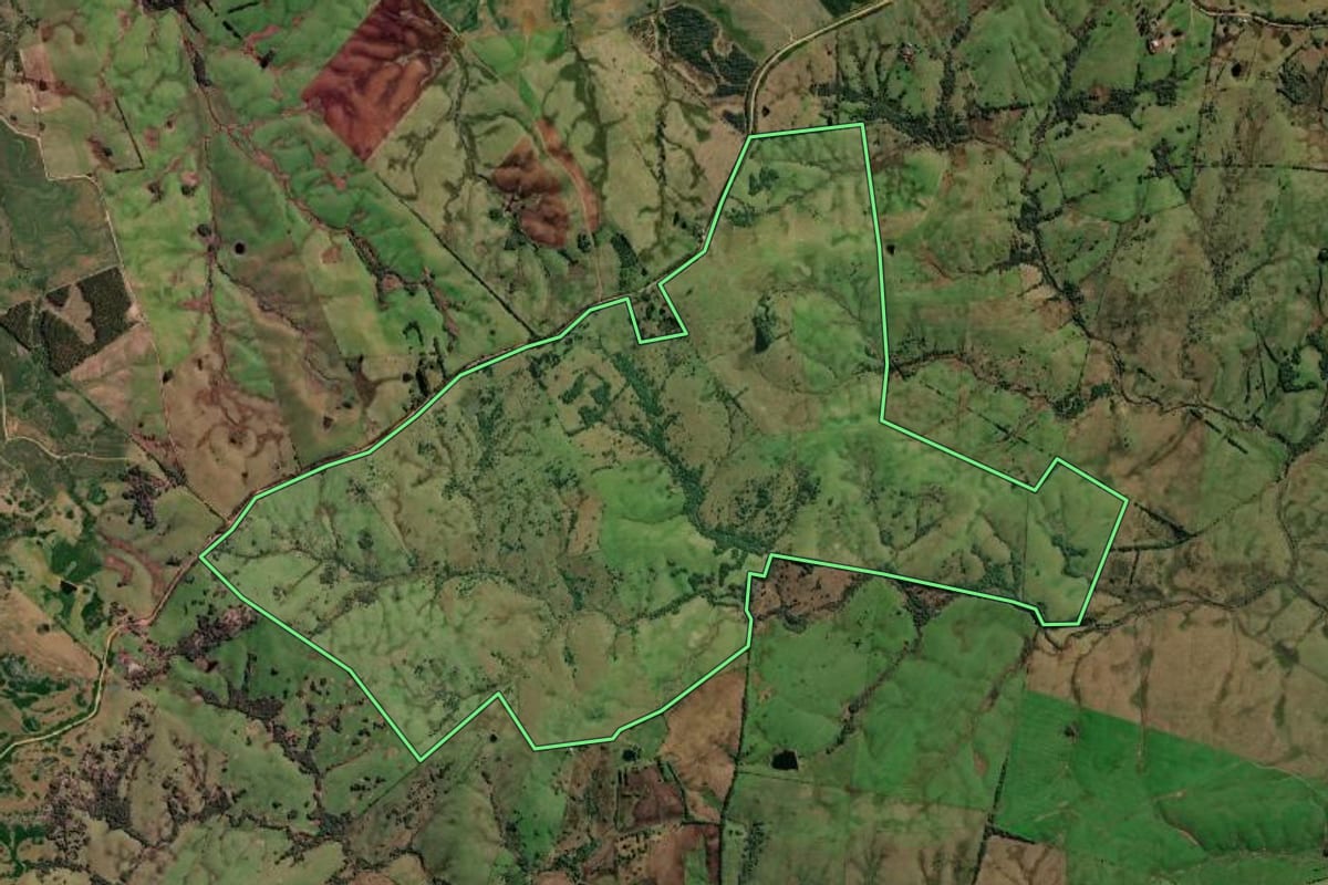 Imagem de satélite do imóvel rural em Pedro Osório (RS), com o contorno declarado no CAR desenhado por cima.