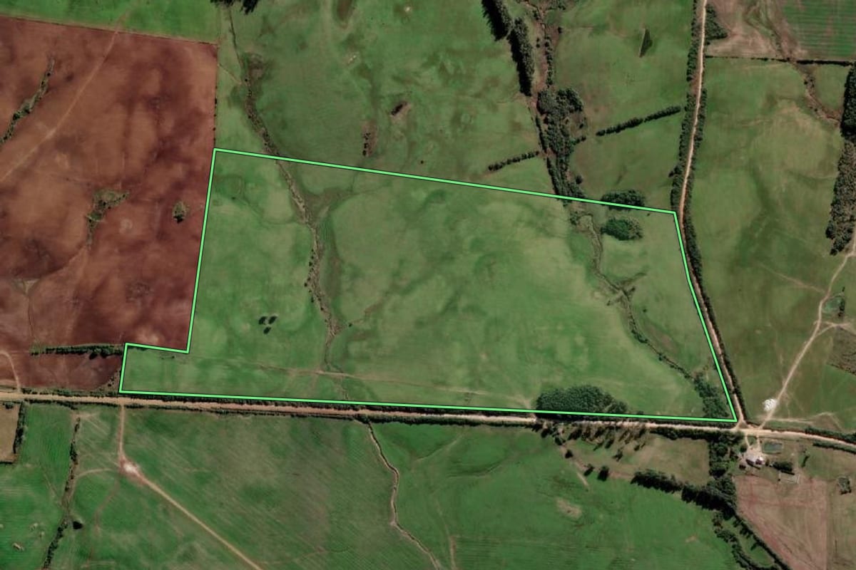 Imagem de satélite do imóvel rural em Pedro Osório (RS), com o contorno declarado no CAR desenhado por cima.