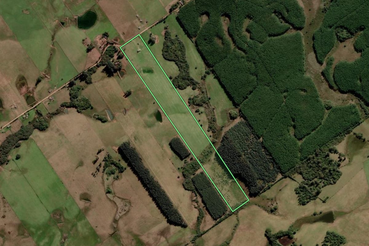 Imagem de satélite do imóvel rural em Pedro Osório (RS), com o contorno declarado no CAR desenhado por cima.