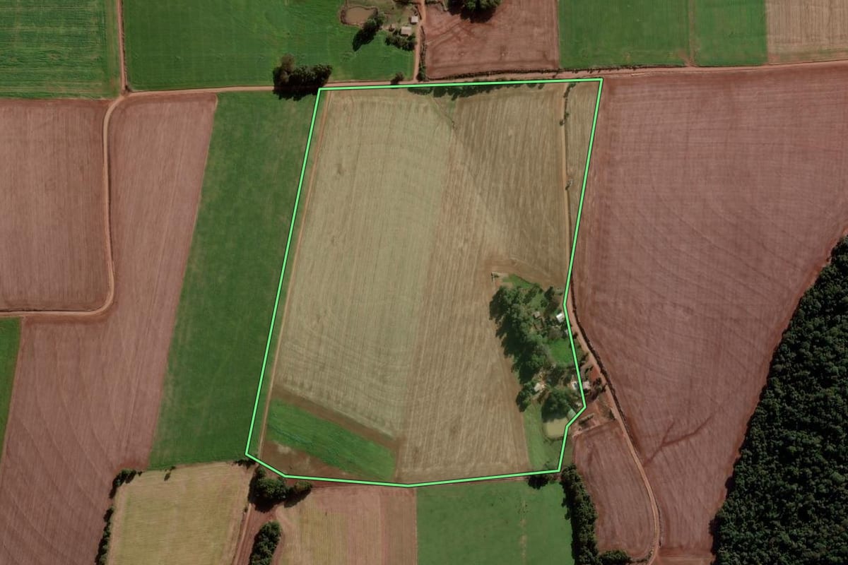 Imagem de satélite do imóvel rural em Pejuçara (RS), com o contorno declarado no CAR desenhado por cima.